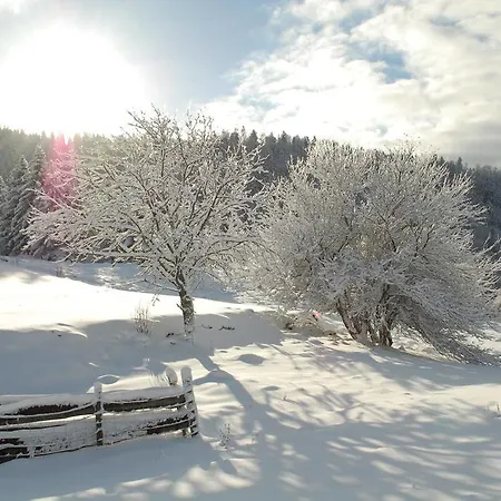 La Haut &
