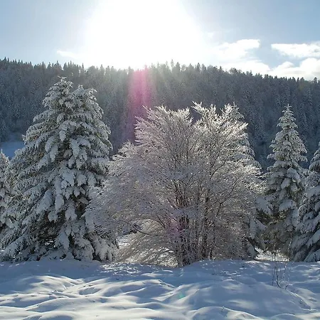 La Haut & Panzió Ventron