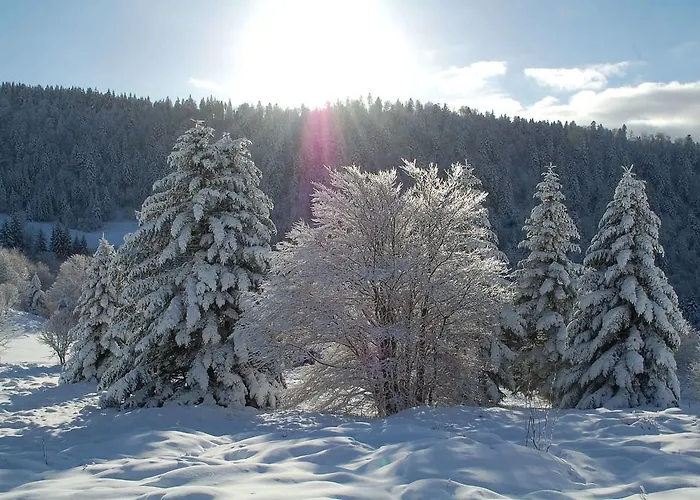 Là Haut&spa Couette-café Ventron
