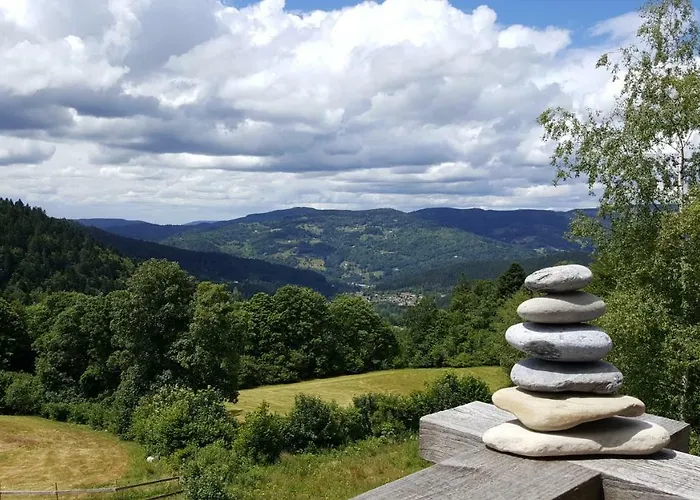 Là Haut&spa 3* Ventron